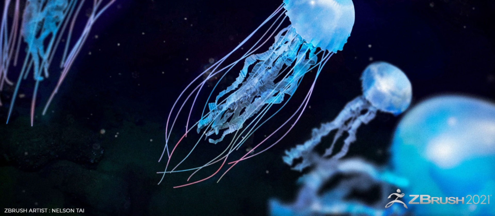 buy zbrush 2021.6 jellyfish image cd326