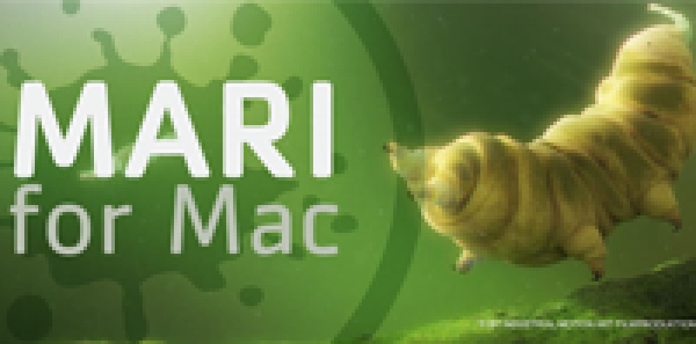 MARI for Mac now available!